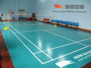 河北保定運(yùn)動地板 旗艦pvc塑膠地板 室內(nèi)運(yùn)動地板 公司網(wǎng)址 http www.yundongdiban.com高清圖片 高清大圖