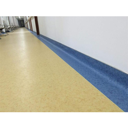 海南塑膠地板公司、海南塑膠地板、君衡(查看)