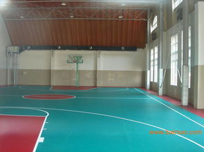 塑膠地板概述 類型、應(yīng)用與價(jià)格指南