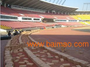 預制型環(huán)保橡膠跑道 綠通塑膠制品的專業(yè)供應與塑膠地板批發(fā)